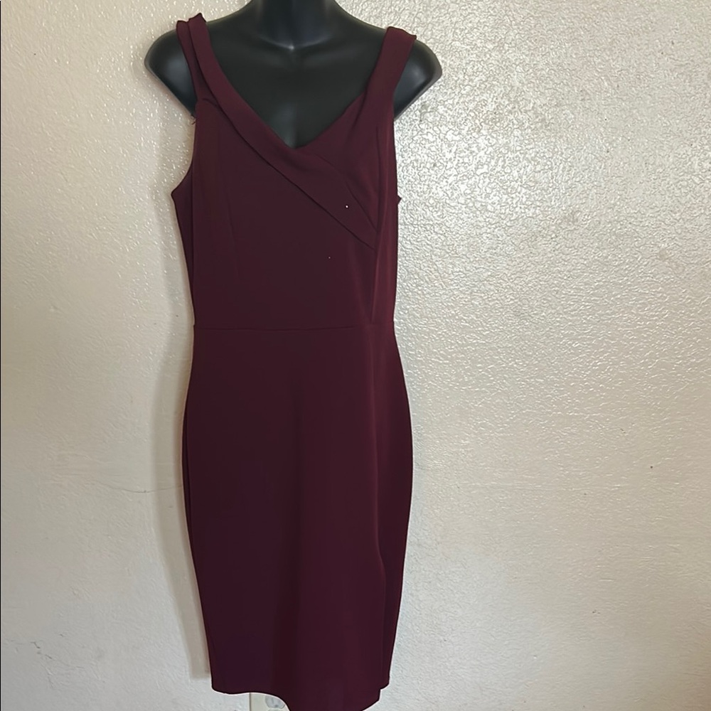 Elegant Burgundy Sleeveless Dress